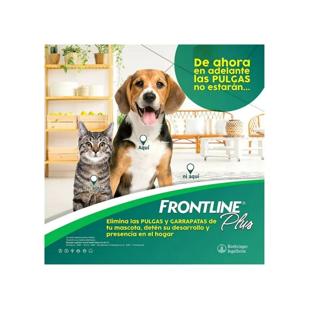 Pipeta Antipulgas y Garrapatas Frontline Plus Perros 10-20 kg